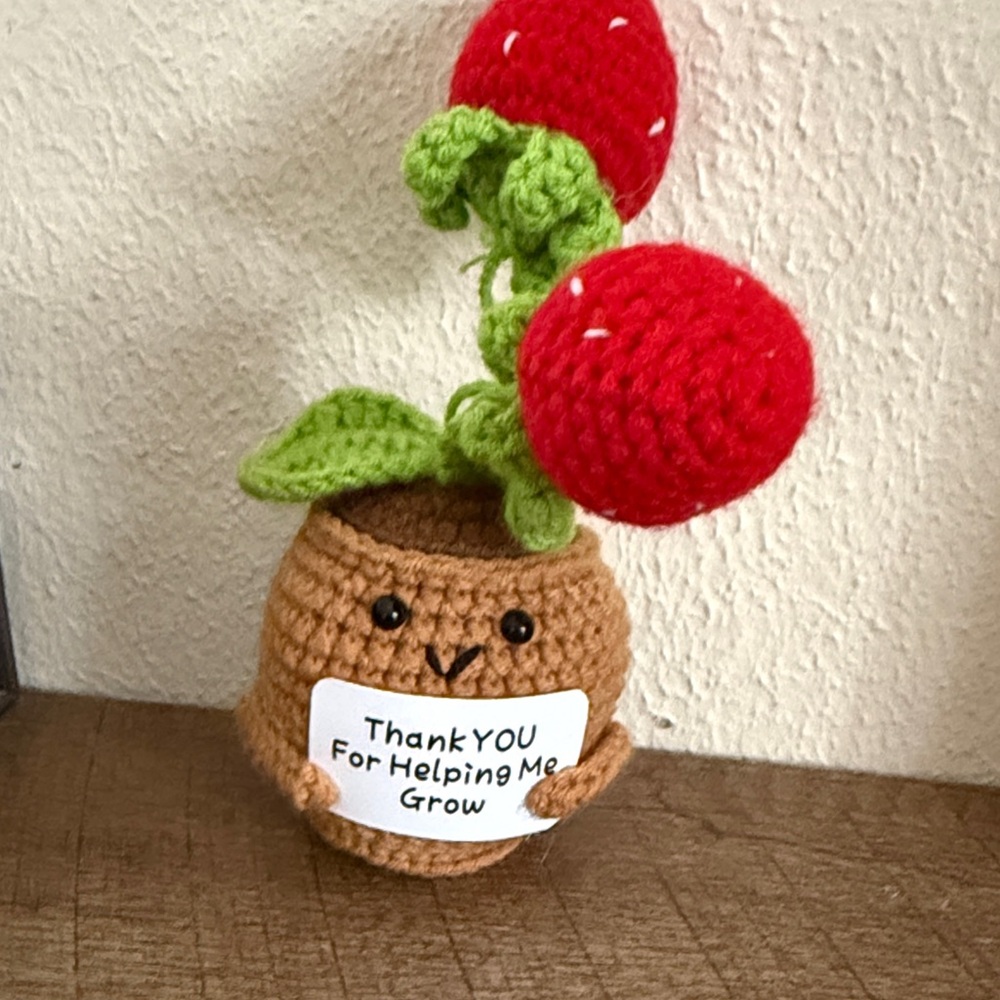 Crochet Plant with Red Flowers